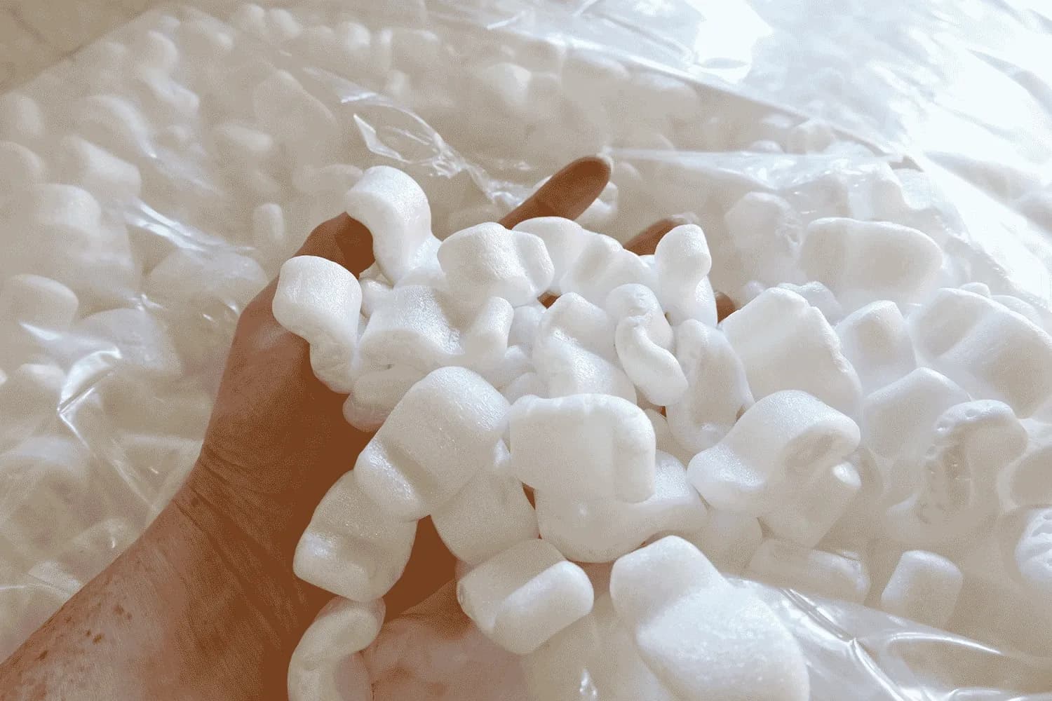 Image alternative text