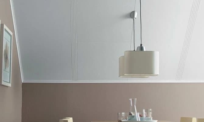 PIR + Agnes plafondplaten
